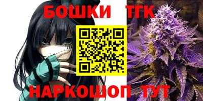 шишки Шелехов