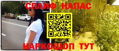 индика Шахты