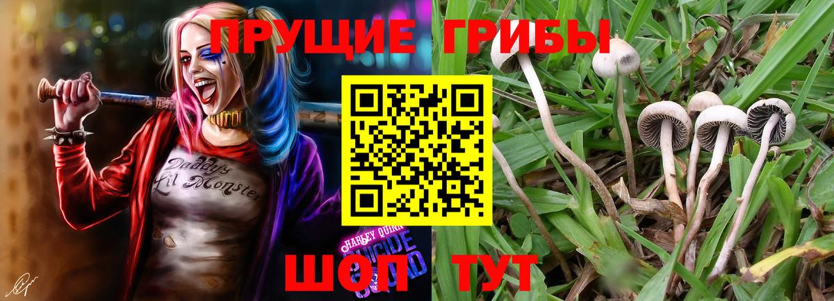 Балашиха  Псилоцибиновые грибы ЛСД  Вход с VPN 